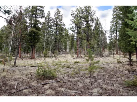 449 Forest Dr, Bailey, CO 80421 photo 10