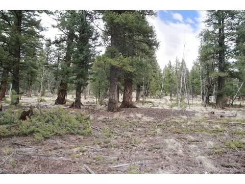 449 Forest Dr, Bailey, CO 80421 photo 9