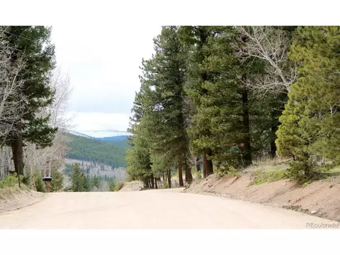 449 Forest Dr, Bailey, CO 80421 photo 11