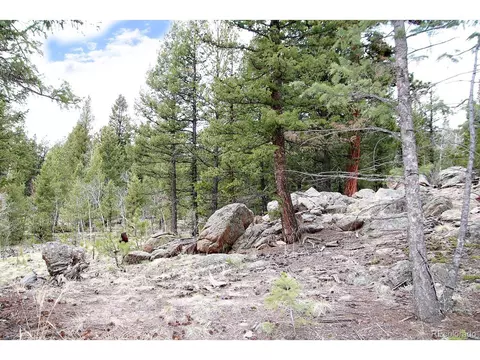 449 Forest Dr, Bailey, CO 80421 photo 2