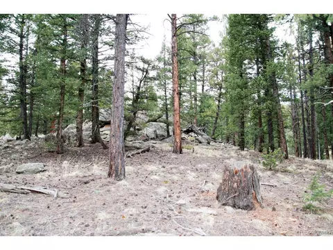 449 Forest Dr, Bailey, CO 80421 photo 8