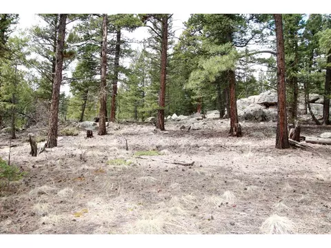 449 Forest Dr, Bailey, CO 80421
