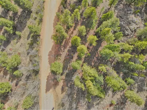 449 Forest Dr, Bailey, CO 80421 photo 15