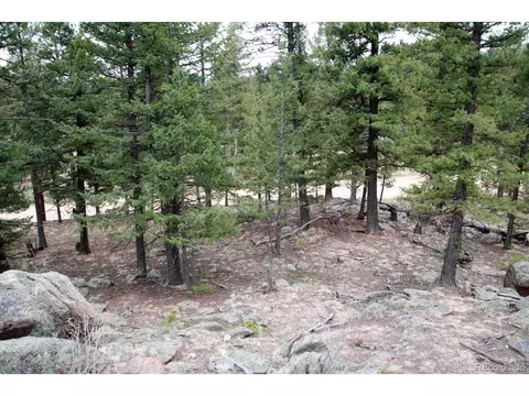 449 Forest Dr, Bailey, CO 80421 photo 6