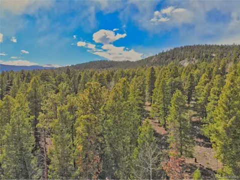449 Forest Dr, Bailey, CO 80421 photo 13