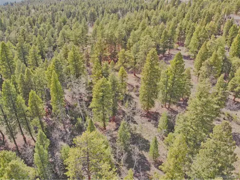 449 Forest Dr, Bailey, CO 80421 photo 14