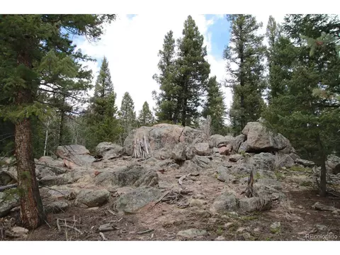 449 Forest Dr, Bailey, CO 80421 photo 5