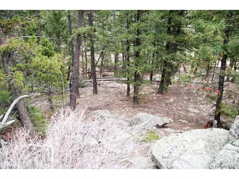 449 Forest Dr, Bailey, CO 80421 photo 7