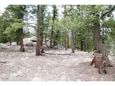 449 Forest Dr, Bailey, CO 80421 photo 3