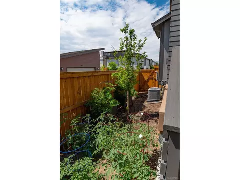 9314 E 58th Dr, Denver, CO 80238 photo 5
