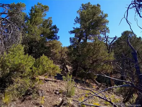 Undisclosed, Cotopaxi, CO 81223 photo 29
