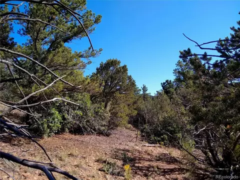 Undisclosed, Cotopaxi, CO 81223 photo 28