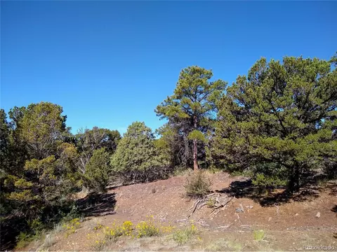 Undisclosed, Cotopaxi, CO 81223 photo 38