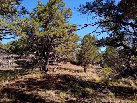 Undisclosed, Cotopaxi, CO 81223 photo 13