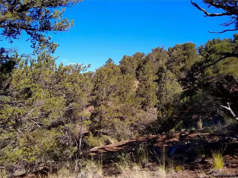 Undisclosed, Cotopaxi, CO 81223 photo 34
