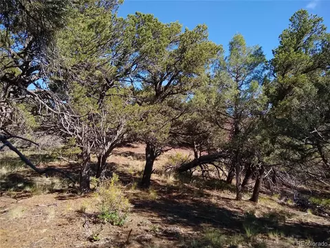 Undisclosed, Cotopaxi, CO 81223 photo 25