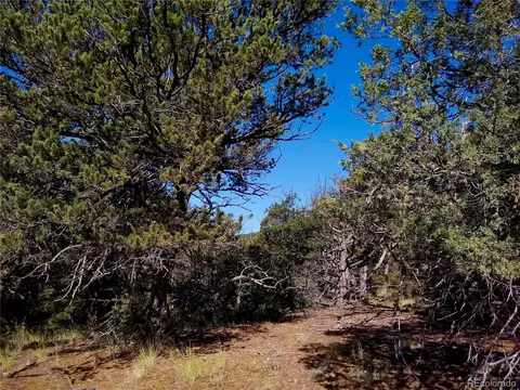 Undisclosed, Cotopaxi, CO 81223 photo 14