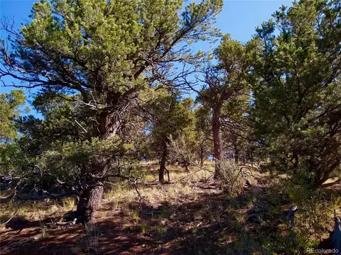 Undisclosed, Cotopaxi, CO 81223 photo 19