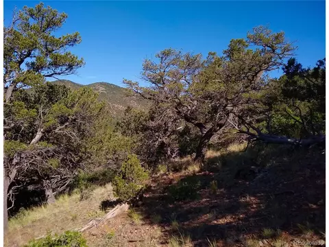 Undisclosed, Cotopaxi, CO 81223 photo 21