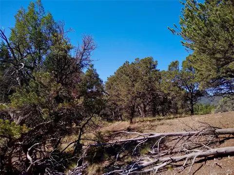 Undisclosed, Cotopaxi, CO 81223 photo 16