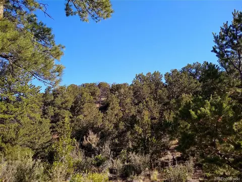 Undisclosed, Cotopaxi, CO 81223 photo 37