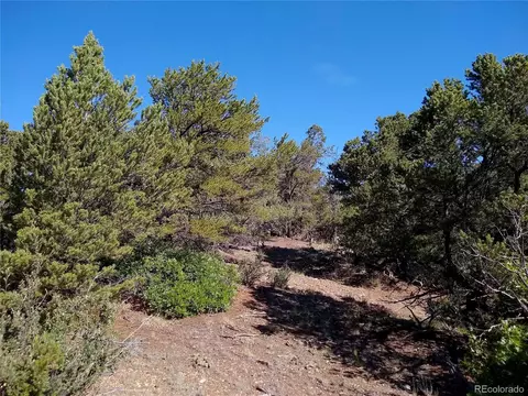 Undisclosed, Cotopaxi, CO 81223 photo 3