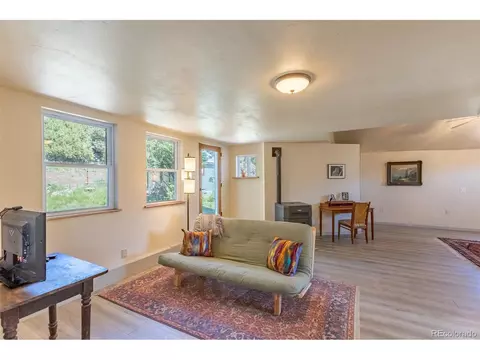 689 County Road 4, Howard, CO 81233 photo 13