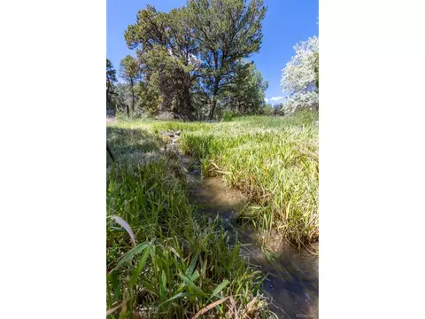 689 County Road 4, Howard, CO 81233 photo 28