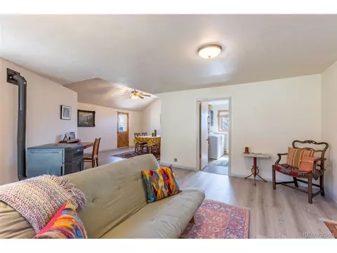689 County Road 4, Howard, CO 81233 photo 14