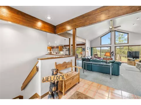 50 Lichen Ln, Dillon, CO 80435 photo 6