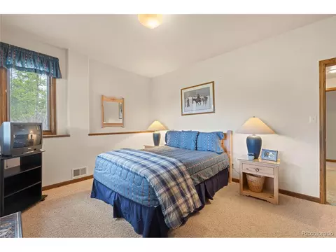50 Lichen Ln, Dillon, CO 80435 photo 36