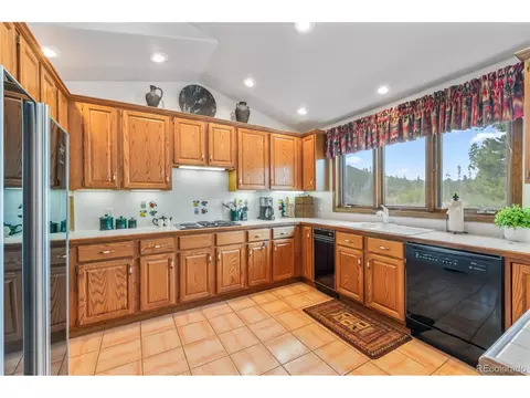50 Lichen Ln, Dillon, CO 80435 photo 21