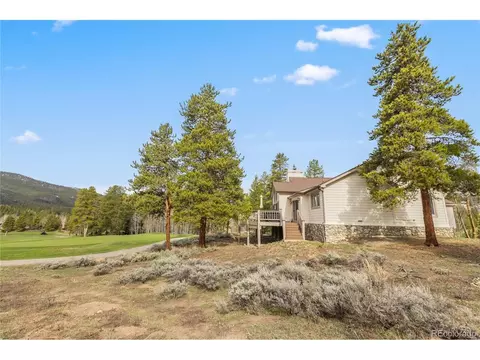 50 Lichen Ln, Dillon, CO 80435 photo 10
