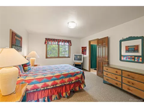 50 Lichen Ln, Dillon, CO 80435 photo 25