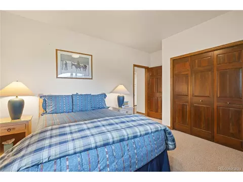 50 Lichen Ln, Dillon, CO 80435 photo 37