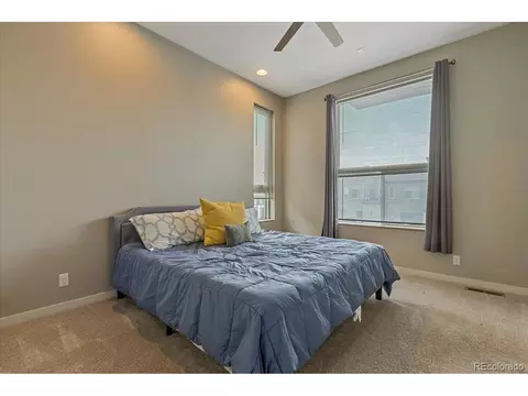 9161 E 52nd Dr, Denver, CO 80238 photo 16