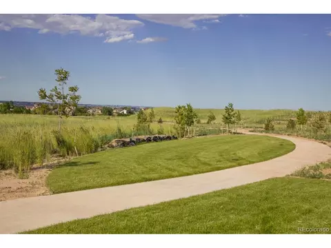 1659 Flourish Dr, Windsor, CO 80550 photo 22