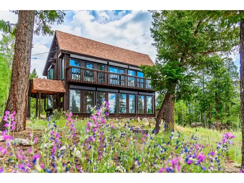 244 Old Sawmill Rd, Bailey, CO 80421 photo 1