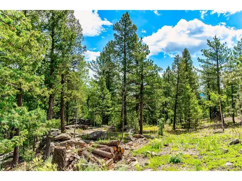 244 Old Sawmill Rd, Bailey, CO 80421 photo 29