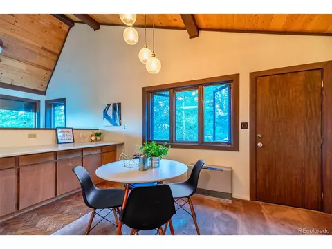244 Old Sawmill Rd, Bailey, CO 80421 photo 12