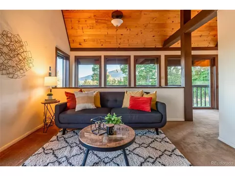 244 Old Sawmill Rd, Bailey, CO 80421 photo 5
