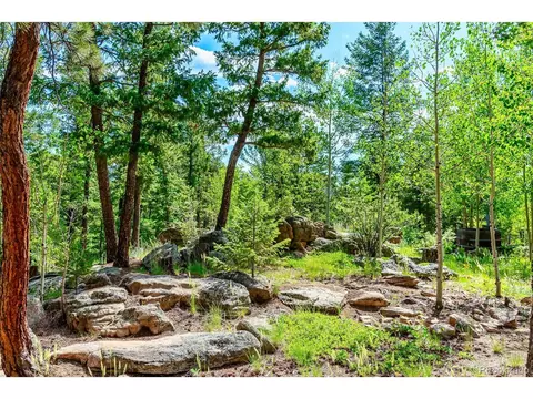 244 Old Sawmill Rd, Bailey, CO 80421 photo 28