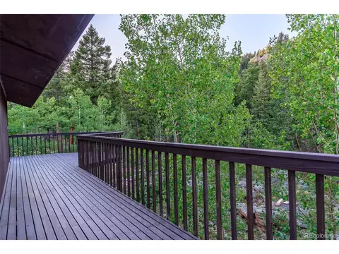 244 Old Sawmill Rd, Bailey, CO 80421 photo 23