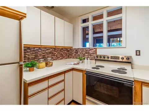 244 Old Sawmill Rd, Bailey, CO 80421 photo 15