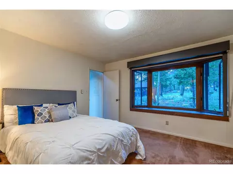 244 Old Sawmill Rd, Bailey, CO 80421 photo 18