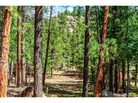 244 Old Sawmill Rd, Bailey, CO 80421 photo 37