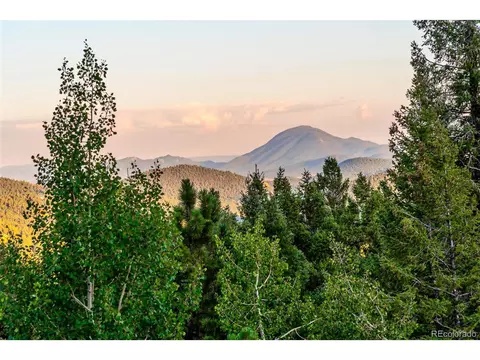 244 Old Sawmill Rd, Bailey, CO 80421 photo 24