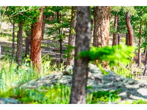 244 Old Sawmill Rd, Bailey, CO 80421 photo 27