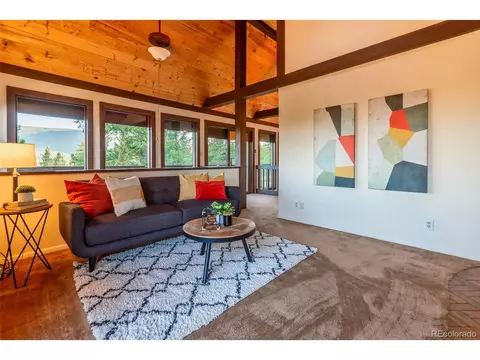 244 Old Sawmill Rd, Bailey, CO 80421 photo 6