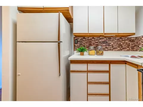 244 Old Sawmill Rd, Bailey, CO 80421 photo 16
